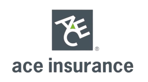 ace insurance removebg preview