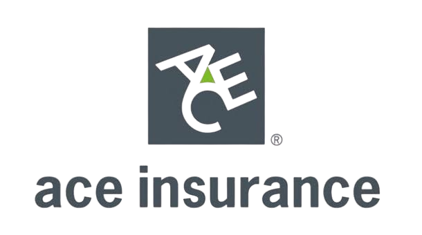 ace insurance removebg preview